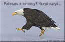 Фотография Климова Игоря