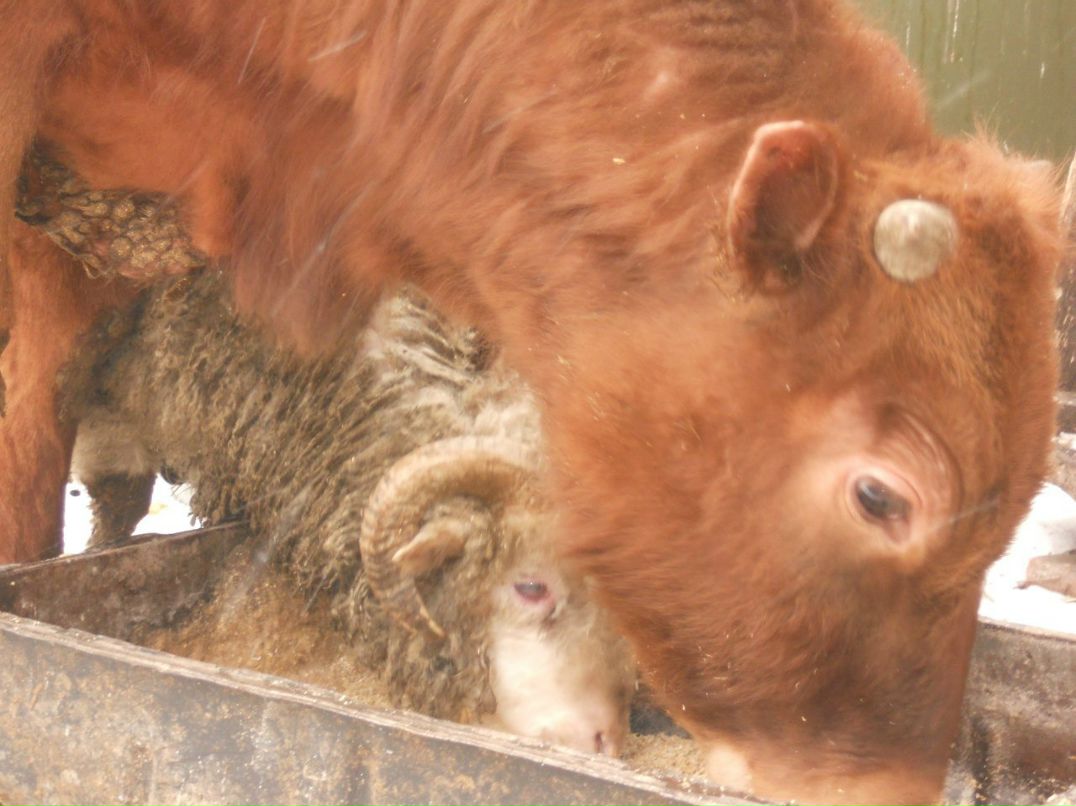 Екатерина Митрошина Олеговна | Уфа