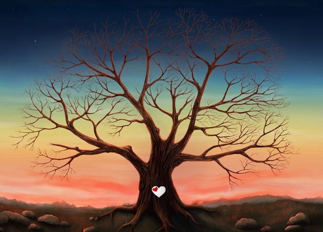 Лиза Сидоренко *** love *** | Черкассы