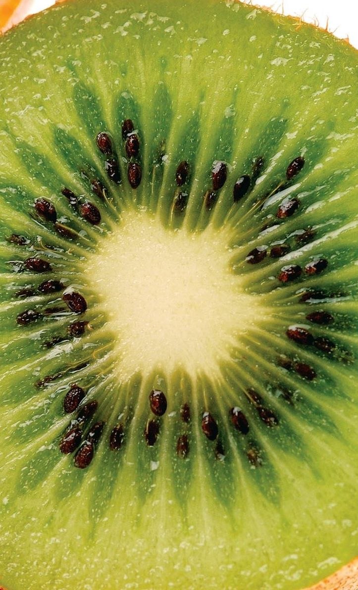 Николай Йалокин | Энгельс