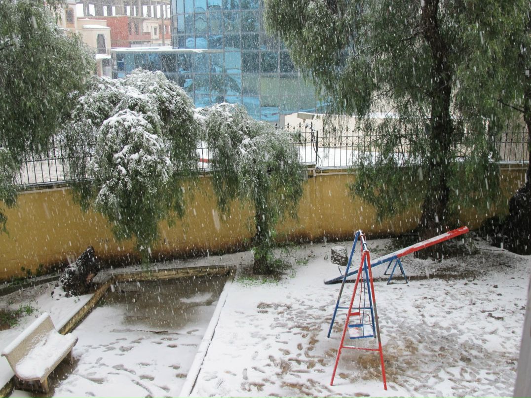 Михаил Алексеев | Йошкар-Ола