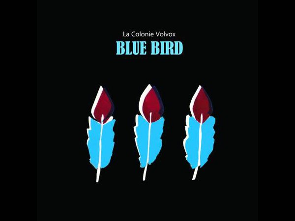 La Colonie Volvox Blue Bird ( Full Album) EGo East records