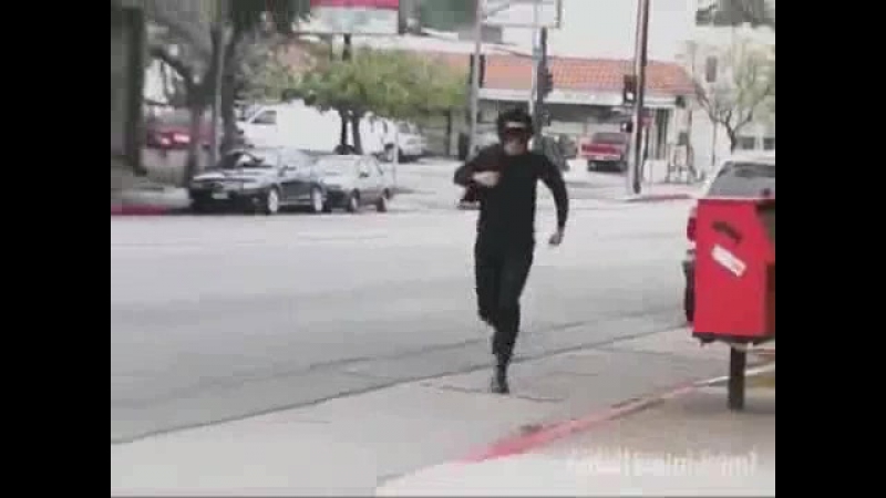 Cest la vie, Adult Swim, The cat
