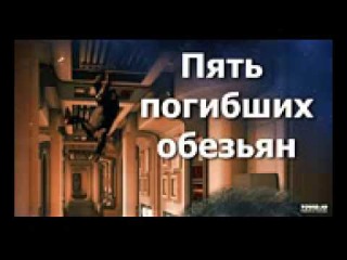 5 Обезьян Магазин