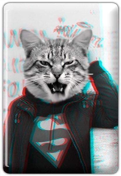 Кирилл Щукин, Россия, Санкт-Петербург