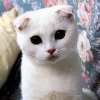 Марина Викторовна