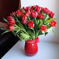Елена Карпова