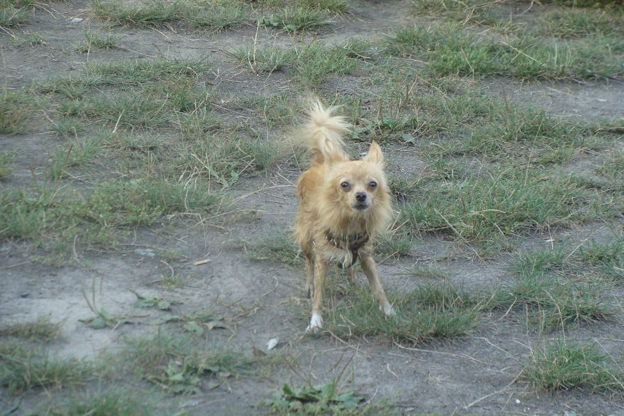 №27, Андрей Швайко, Киев №27, Андрей Швайко, Киев