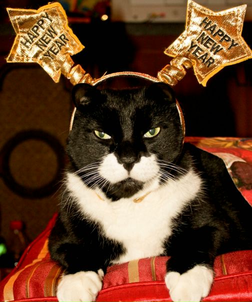 №19, Lev Soroka, 36 лет, Ивано-Франковск-16 №19, Lev Soroka, 36 лет, Ивано-Франковск-16