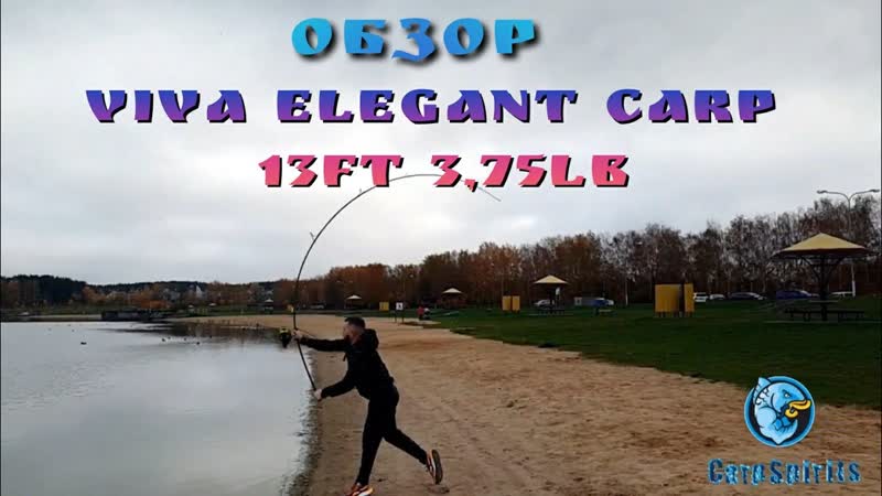 Обзор. Карповое удилище VIVA ELEGANT CARP 13ft 3.