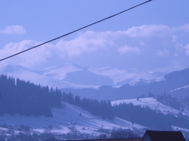 №6, Тарас Гайсан, Замостя №6, Тарас Гайсан, Замостя