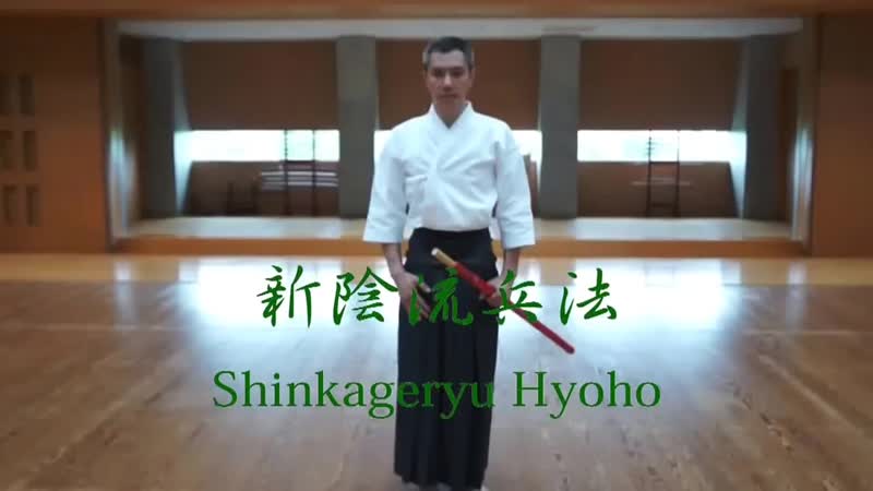 新陰流兵法勢会 Shinkageryu Hyoho