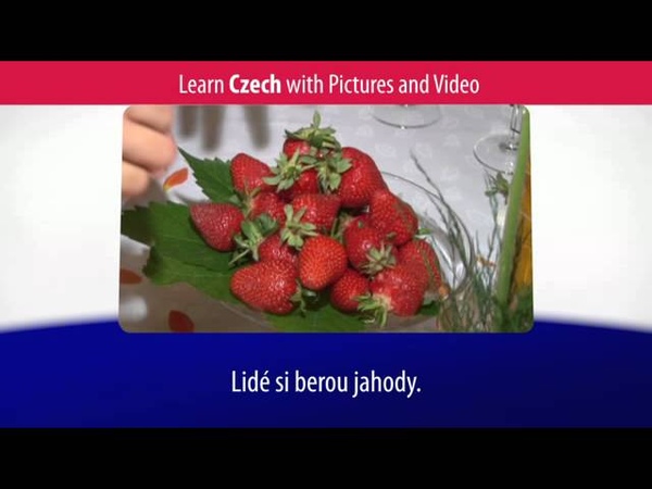 Learn Czech Vocabulary with Pictures and Video Top 20 Czech Verbs