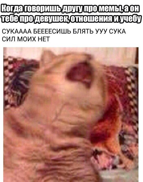 сил моих больше нет картинки год