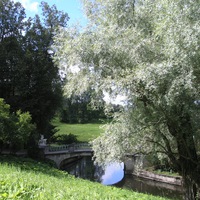 Светлана Сопова