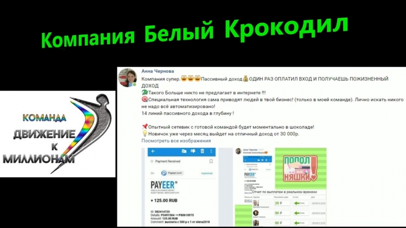 Белый Крокодил Магазин Каталог Товаров И Цены