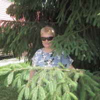 Елена Ефименко