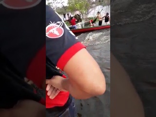 Briga real - Piratas do Caribe
