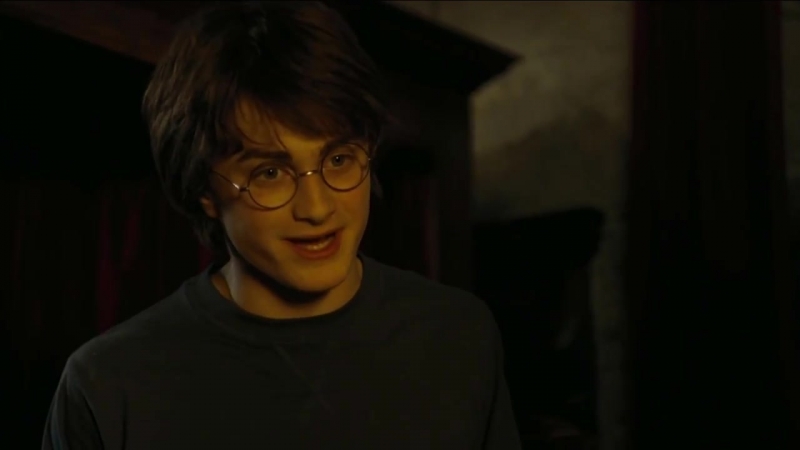 Harry potter and the goblet of fire gay trailer