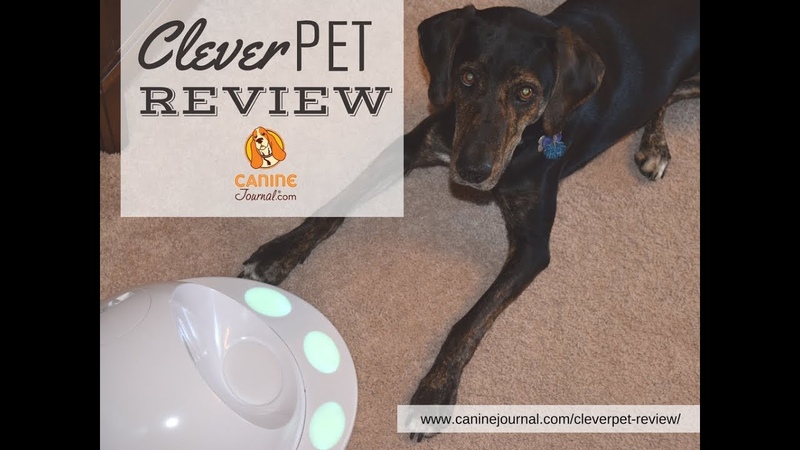 Clever Pet Hub Unboxing