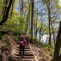 Анастасия Кузнецова