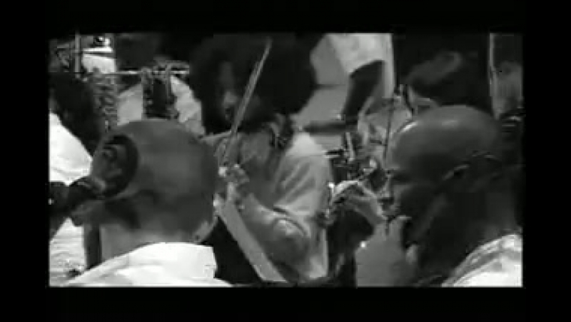 Miguel Atwood Ferguson and a 40 piece orchestra Suite For Ma