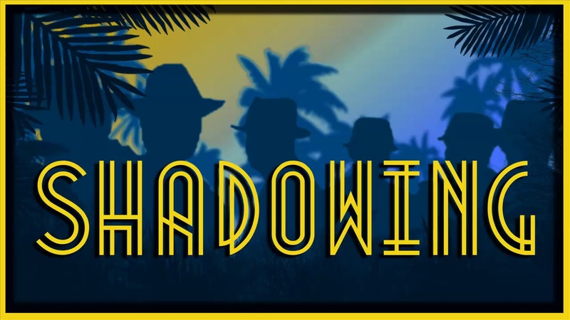 Nika Ragua-shadowing