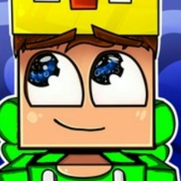 MinecraftVIN