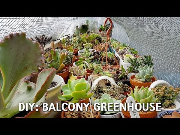 DIY Balcony Greenhouse