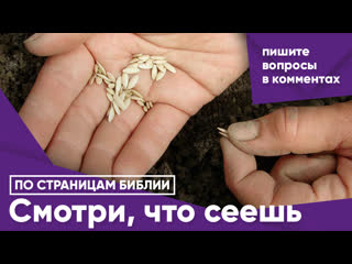 Смотри, что сеешь