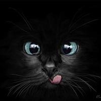 Николай Николаевич