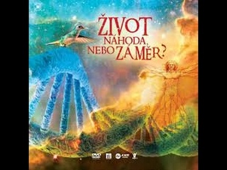 Život - náhoda nebo záměr?
