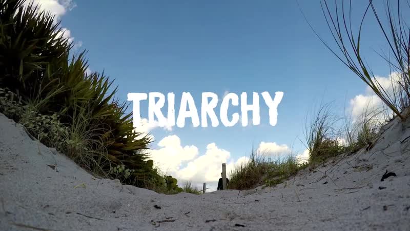 Triarchy Point Of View