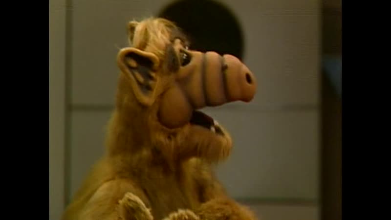 ALF