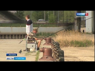 Под Казанью на дне обмелевшей Волги нашли древнюю мостовую