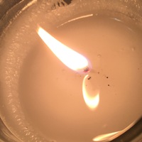 Лена Рожкова | 