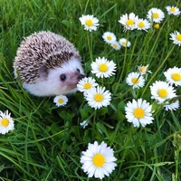 Наталья Кочкина