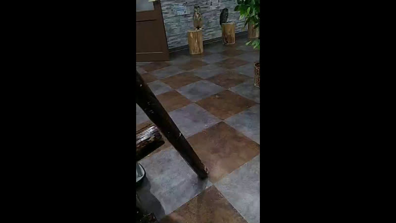 парк сов nichi