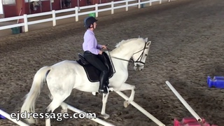 Cavaletti Training in bent and straight lines