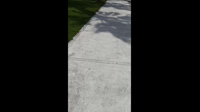 VID_20200330_151440.mp4