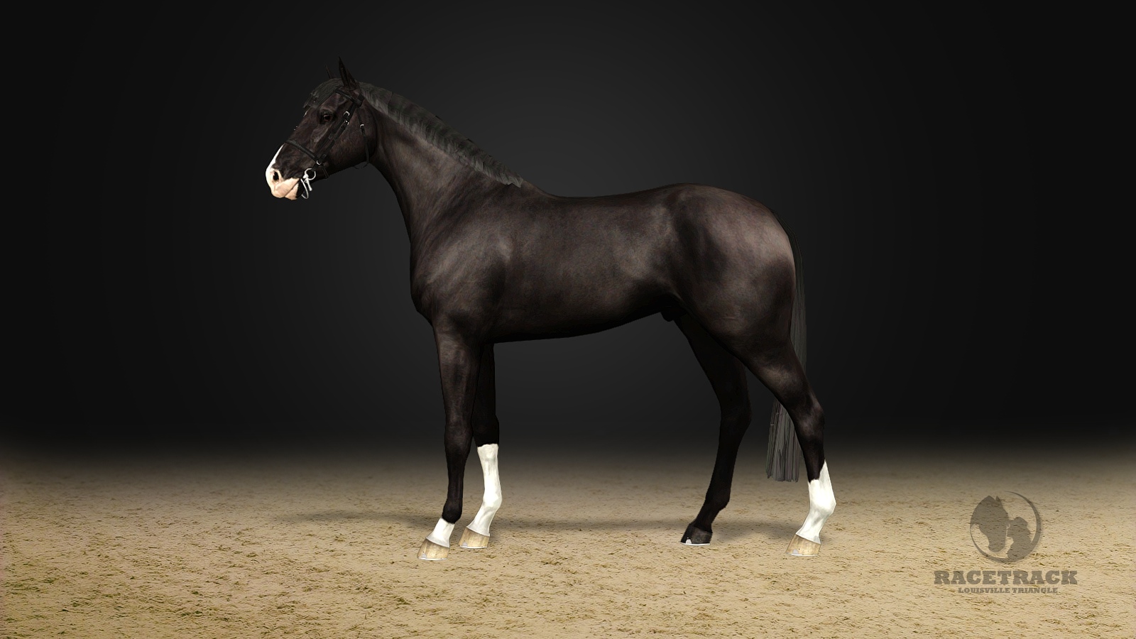 Horse image