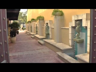 CORRIDORS OF MADNESS (video)