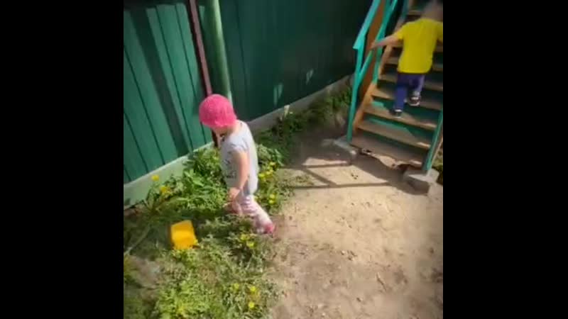 гулчем