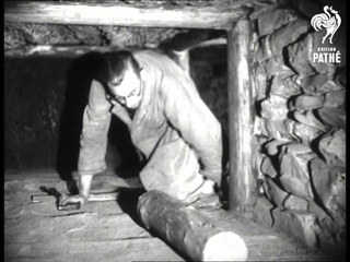 Coal Mine (1951)