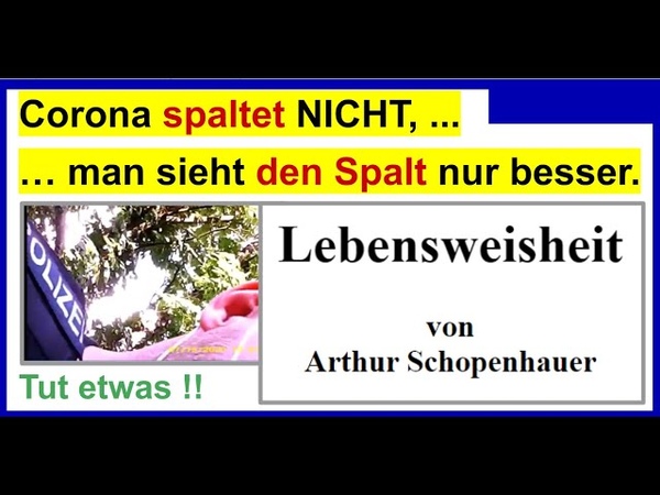 Corona spaltet uns NICHT, man sieht den Spalt nur besser. .. Schopenhauer und seine