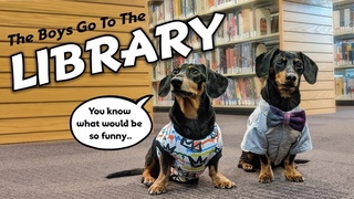 Ep #5: The Dogs Go to The Library! - Cute & Funny Dachshund Video!