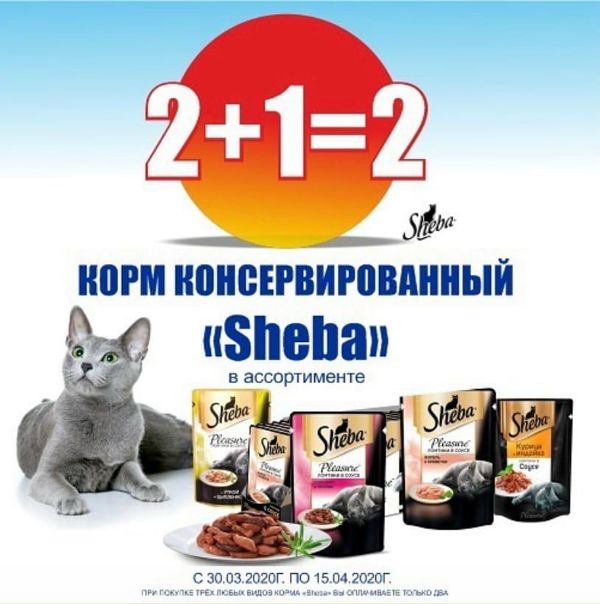 Акции В Магазине Линия В Орле