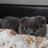 Кирилл Живицкий | 