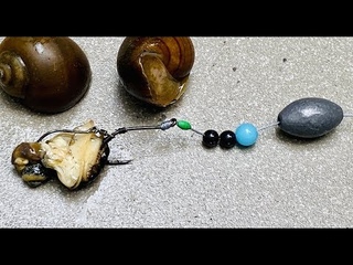 Catfish & Carp Rig - Fishing Rig - Cách buộc hai lưỡi câu