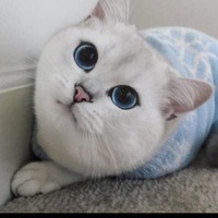 Светлана Корепанова | Москва